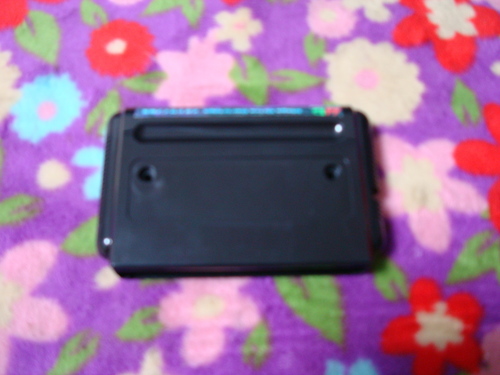 DSC01313.JPG