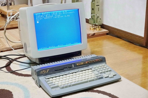 DZRST17.jpg
